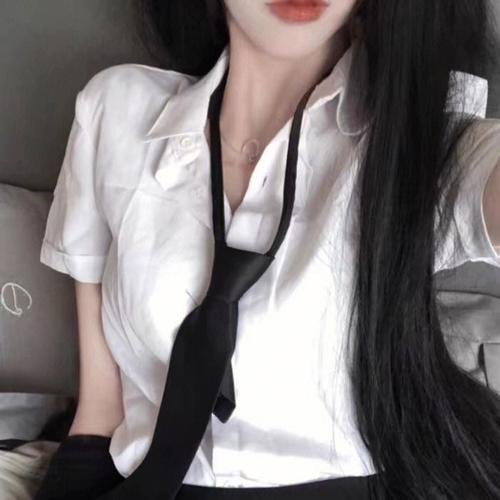 盗贼生涯